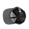 Iriedaily Flag Chambray Snapback Cap