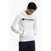 Champion Sweatshirt Herren