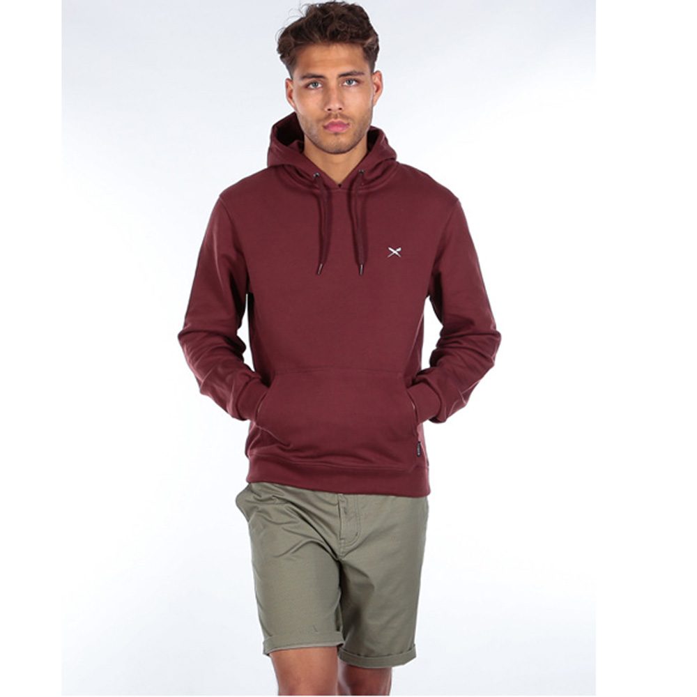 Iriedaily Mini Flag 2 Hoodie Herren rot