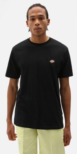 Dickies Mapleton Logo T-Shirt (schwarz)