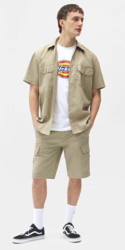 Dickies Work Shirt Twill Hemd (beige)