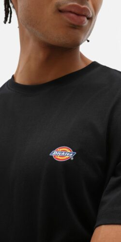 Dickies Mapleton Logo T-Shirt (schwarz)