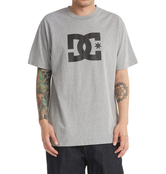 DC Shoes Star Fill T-Shirt (hellgrau)