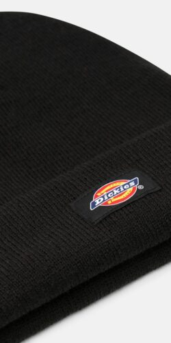 Dickies Unisex Gibsland Wintermütze (schwarz)