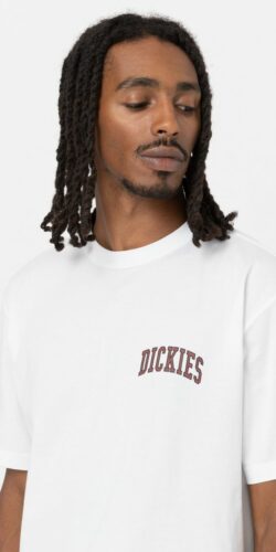 Dickies Aitkin Chest Logo T-Shirt (weiß)