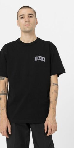 Dickies Aitkin Chest Logo T-Shirt (schwarz)