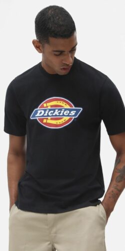 Dickies Icon Logo T-Shirt (schwarz)