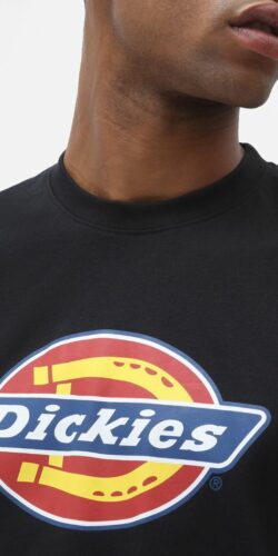 Dickies Icon Logo T-Shirt (schwarz)