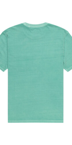 Element Basic Pocket Pigment T-Shirt (grün)