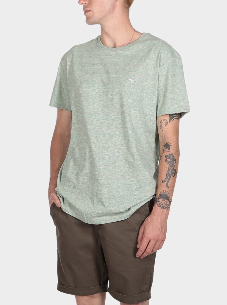Iriedaily Chamisso T-Shirt Mintigrey (grün)