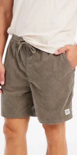 Protest Uleyo Cord Short Hose ( grau)