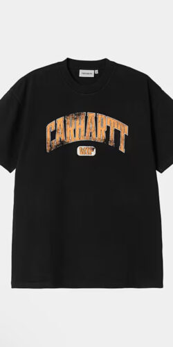 Carhartt Wip Lecture Vintage T-Shirt (schwarz)
