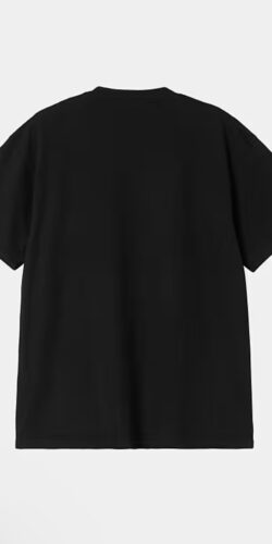 Carhartt Wip Lecture Vintage T-Shirt (schwarz)