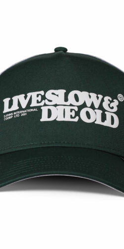 Djinns LSDO Trucker Cap (grün/weiß)