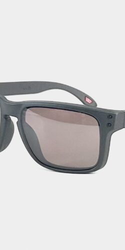 Oakley Holbrook Sonnenbrille Steel Prizm Daily Polarized (grau)