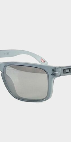 Oakley Holbrook Sonnenbrille Steel Prizm Daily Polarized (grau)