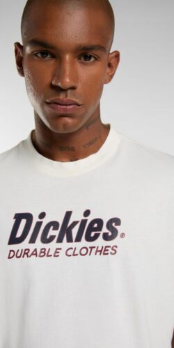 Dickies Williston T-Shirt (weiß)