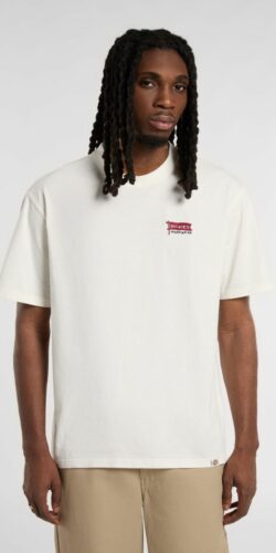 Dickies Flag Tee T-Shirt (weiß)