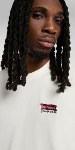 Dickies Flag Tee T-Shirt (weiß)