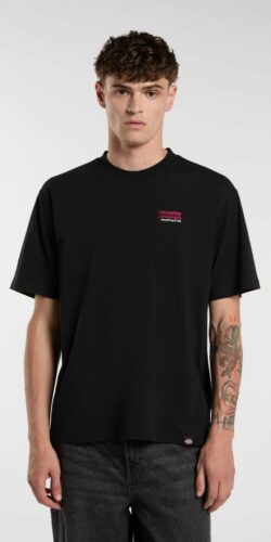 Dickies Flag T-Shirt (schwarz)