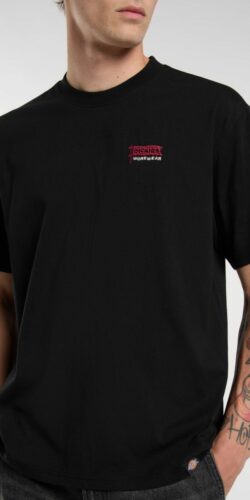 Dickies Flag T-Shirt (schwarz)