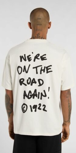 Dickies Sneedville T-Shirt (weiß)