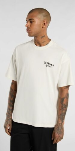 Dickies Sneedville T-Shirt (weiß)
