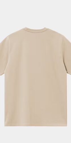 Carhartt Script Embroidery T-Shirt Fleur de Sel (beige)