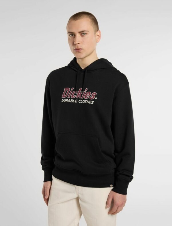 Dickies Williston Kapuzen Pullover (schwarz)